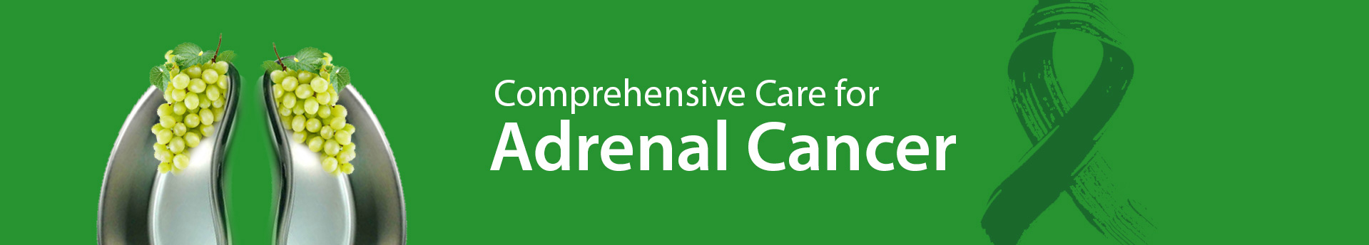 Medicaoncology adrenal Cancer